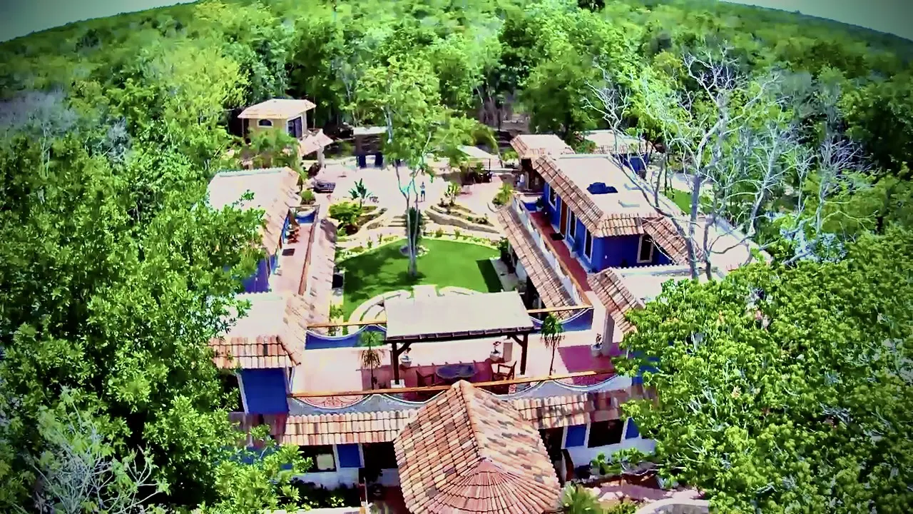 A bird 's eye view of a resort with many trees.