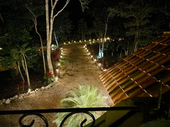 A path that is lit up at night.