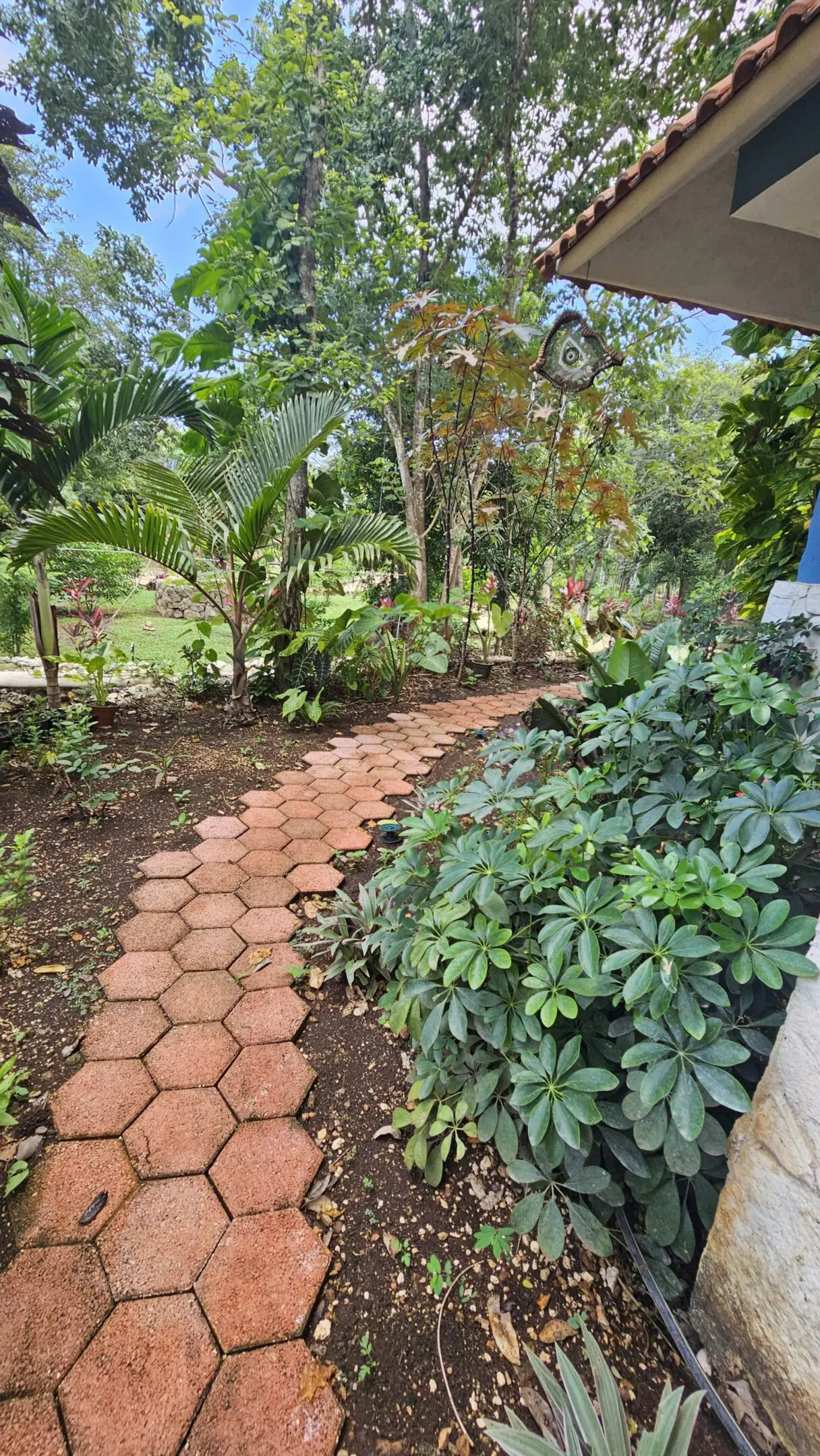 A garden path with brick pavers and plants.